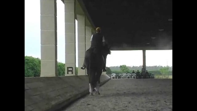 FEI, Straightness Through the Shoulder | Rafael Soto | PART 02