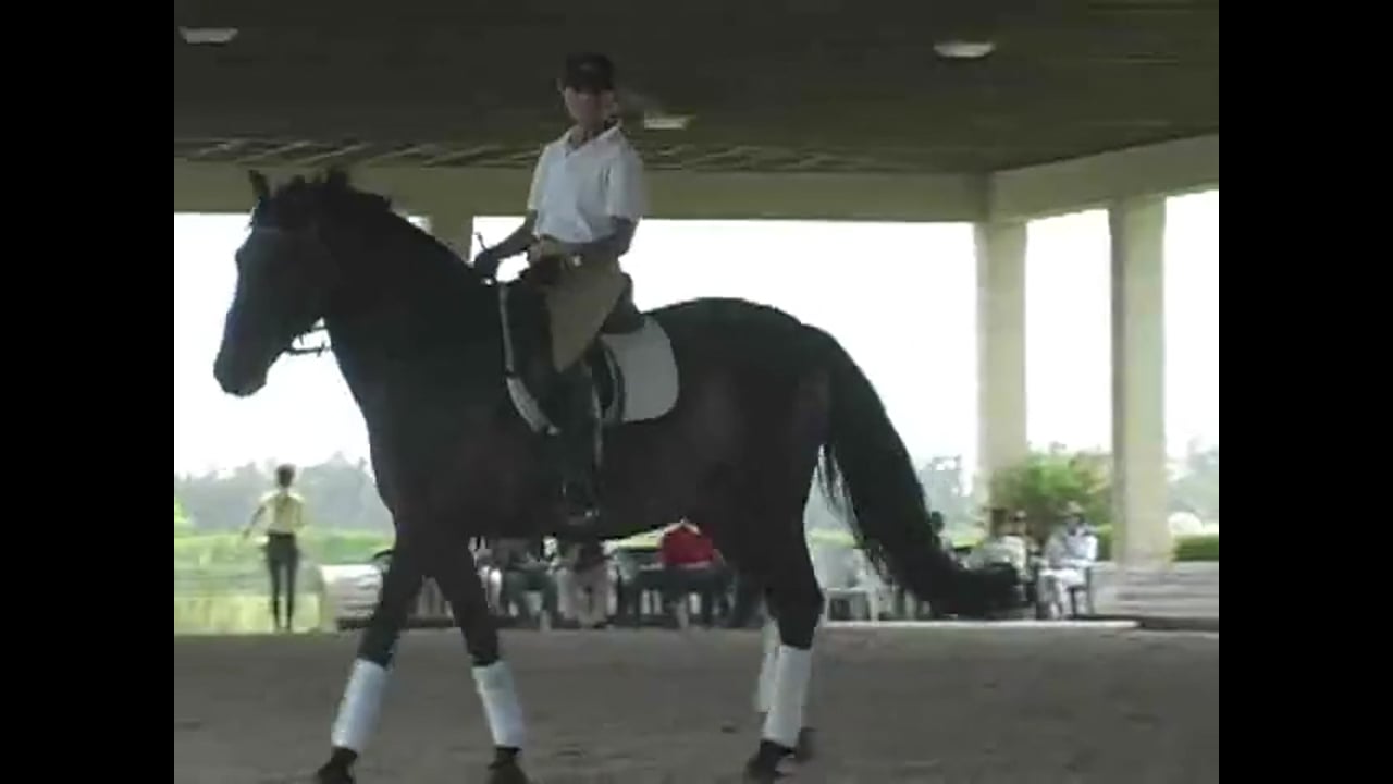 FEI, Working on Improving the Straightness | Rafael Soto | PART 03