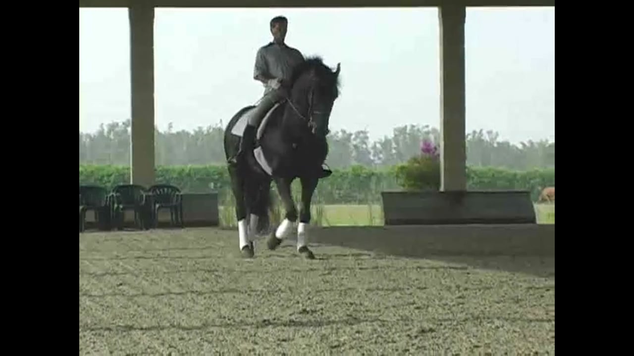 Level-exercise 2nd-GP/L-S, Improving the Connection | Rafael Soto | PART 02