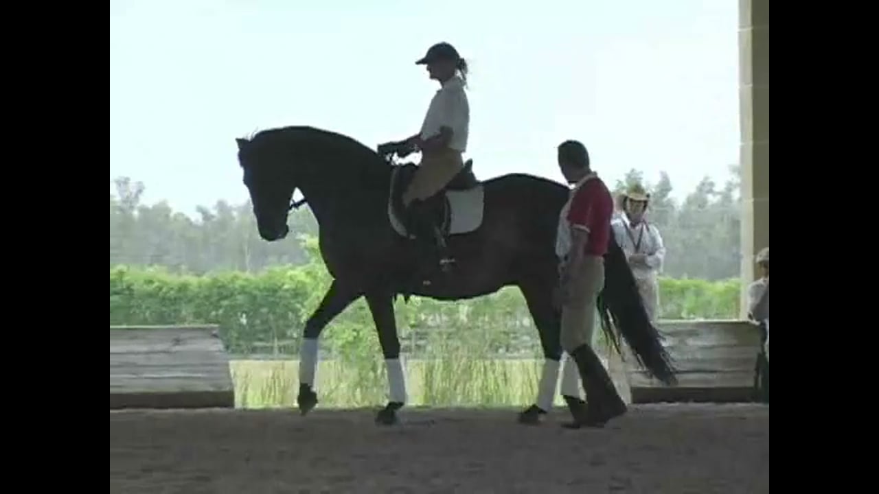 FEI, Working on Improving the Straightness | Rafael Soto | PART 02