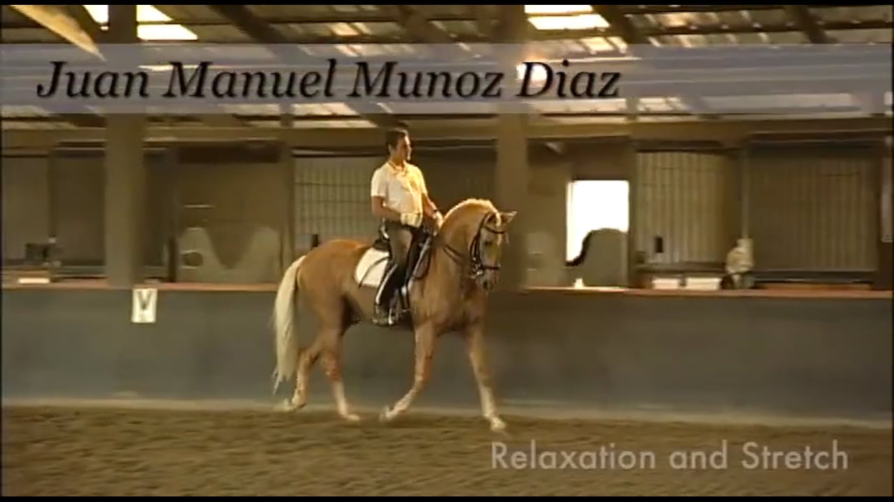Relaxation and Stretch | Juan Muanuel Munoz Diaz | PART 02