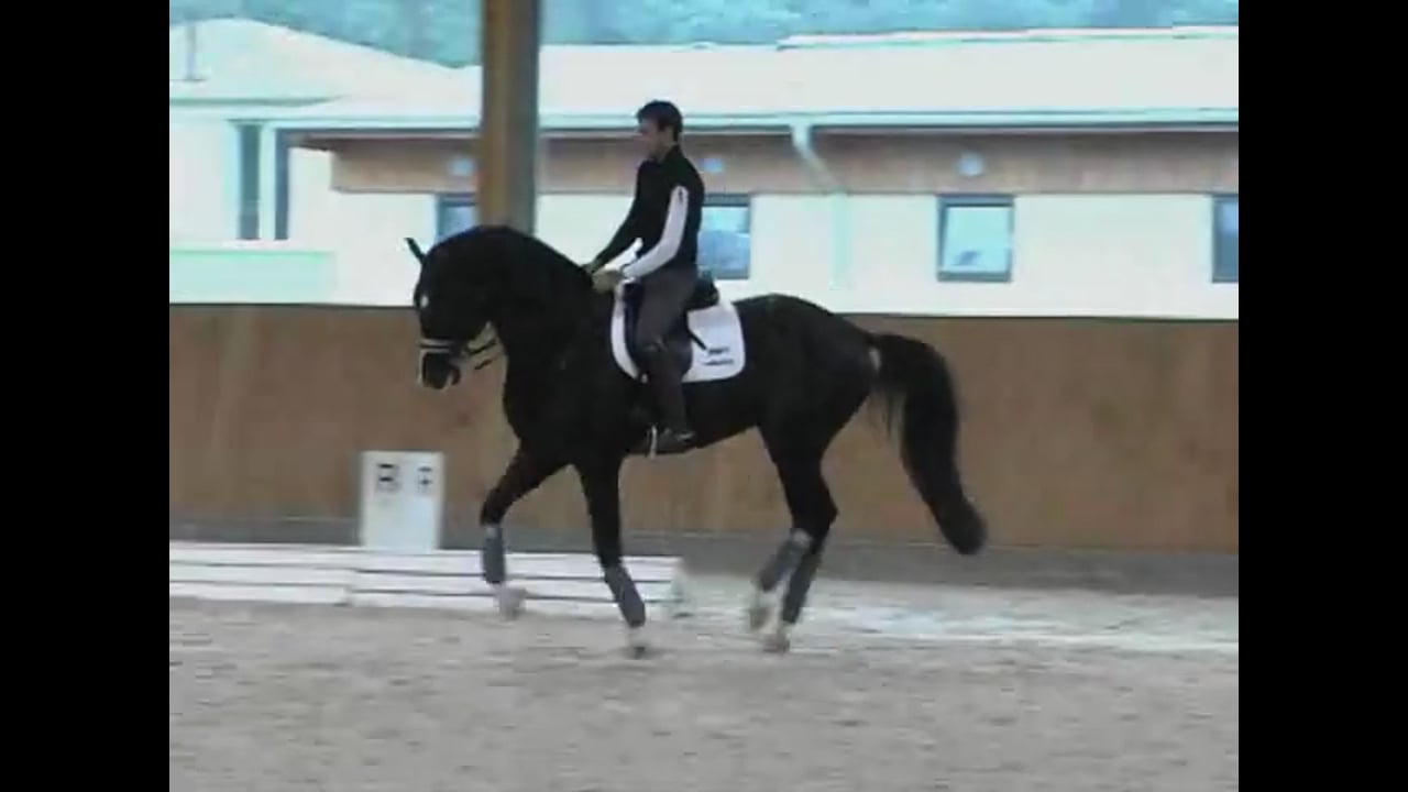 Hot Horse: Relaxation & Suppling, GP Practice Test | Jean Bemelmans | PART 02