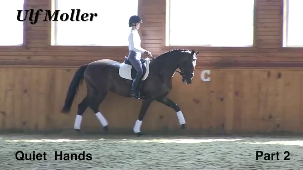 Quiet Hands at the Training Level | Dr. Ulf Moller | PART 02