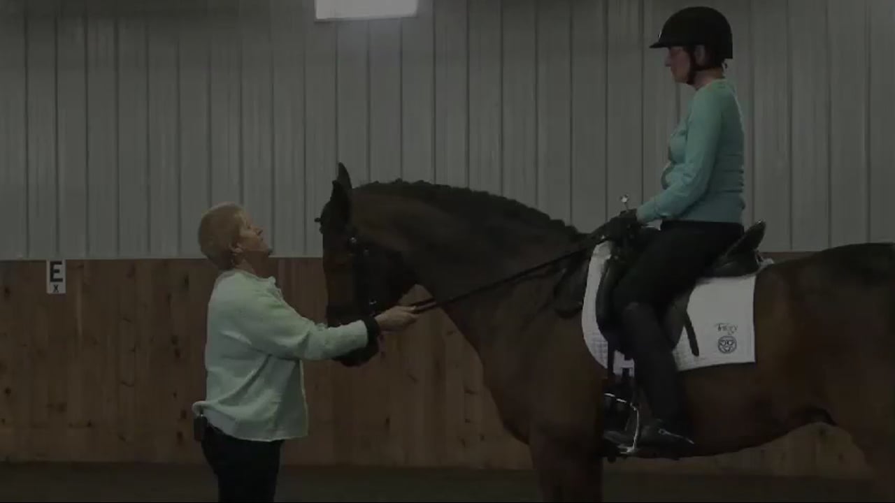 Responsiveness and Contact - 1/2012, FarmVet/USDF Adult Clinic, Second Level