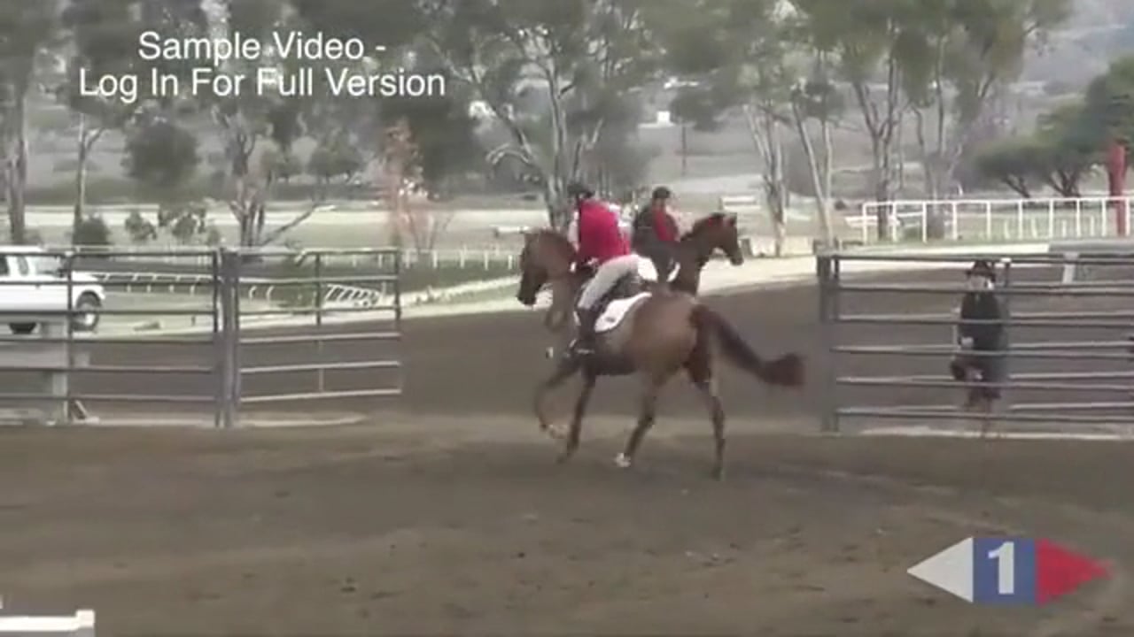 Rideability Exercises Over Fences | Boyd Martin | TRAILER