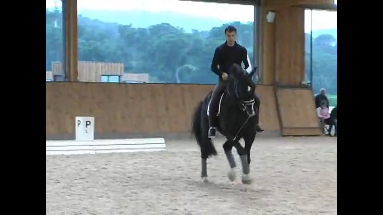 Hot Horse: Relaxation & Suppling, GP Practice Test | Jean Bemelmans | PART 03