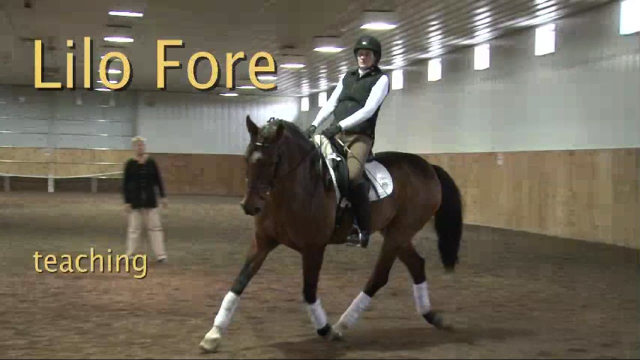 Responsiveness to the leg - 1/2012, FarmVet/USDF Adult Clinic, Second Level