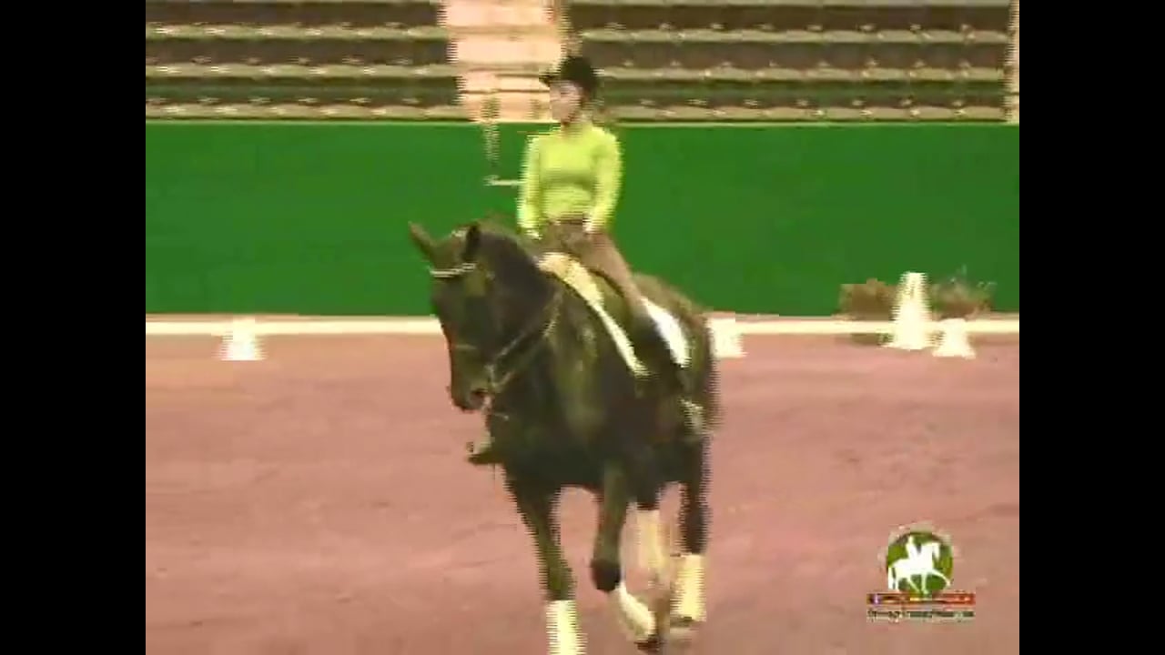 Rhythm, Improving the Gait and Canter Pirouettes | Jan Brink | PART 02