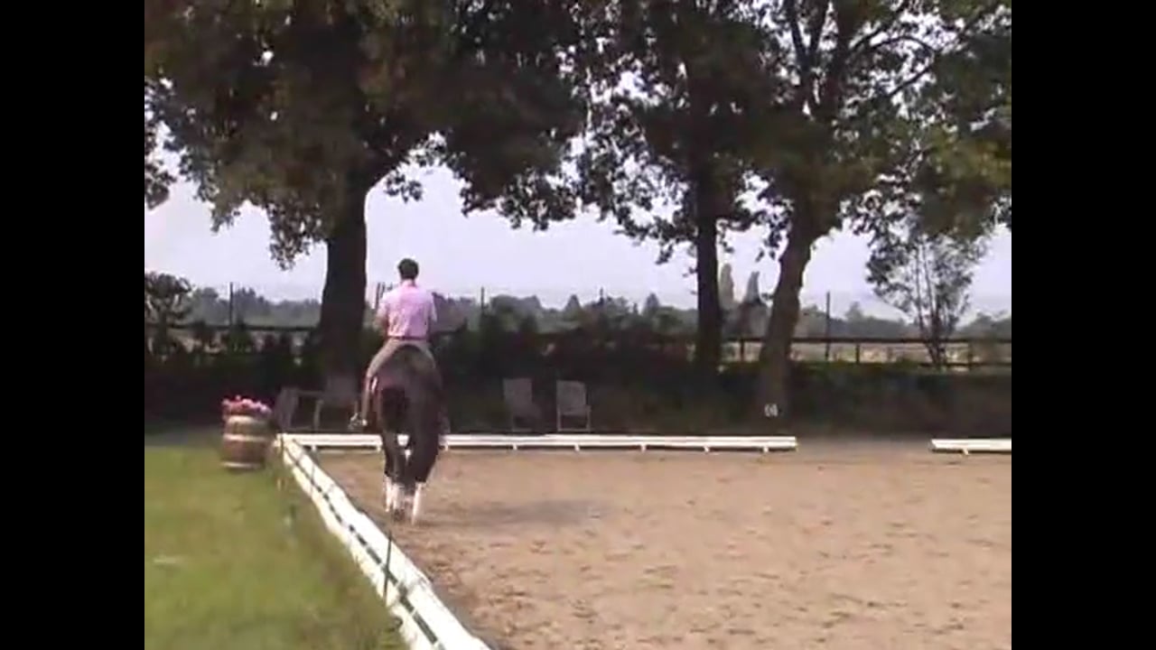 Relaxation in All Three Gaits, Developing the Trot | Jean Bemelmans | PART 01