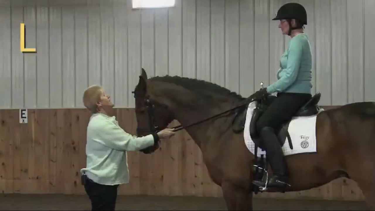 Responsiveness and Contact - 1/2012, FarmVet/USDF Adult Clinic, Second Level