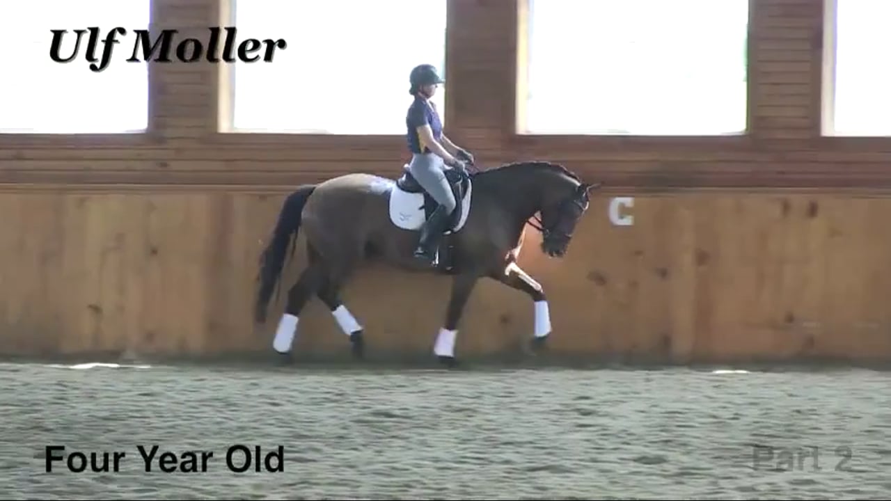 Resistance & Rider Effectiveness | Dr. Ulf Moller | PART 01