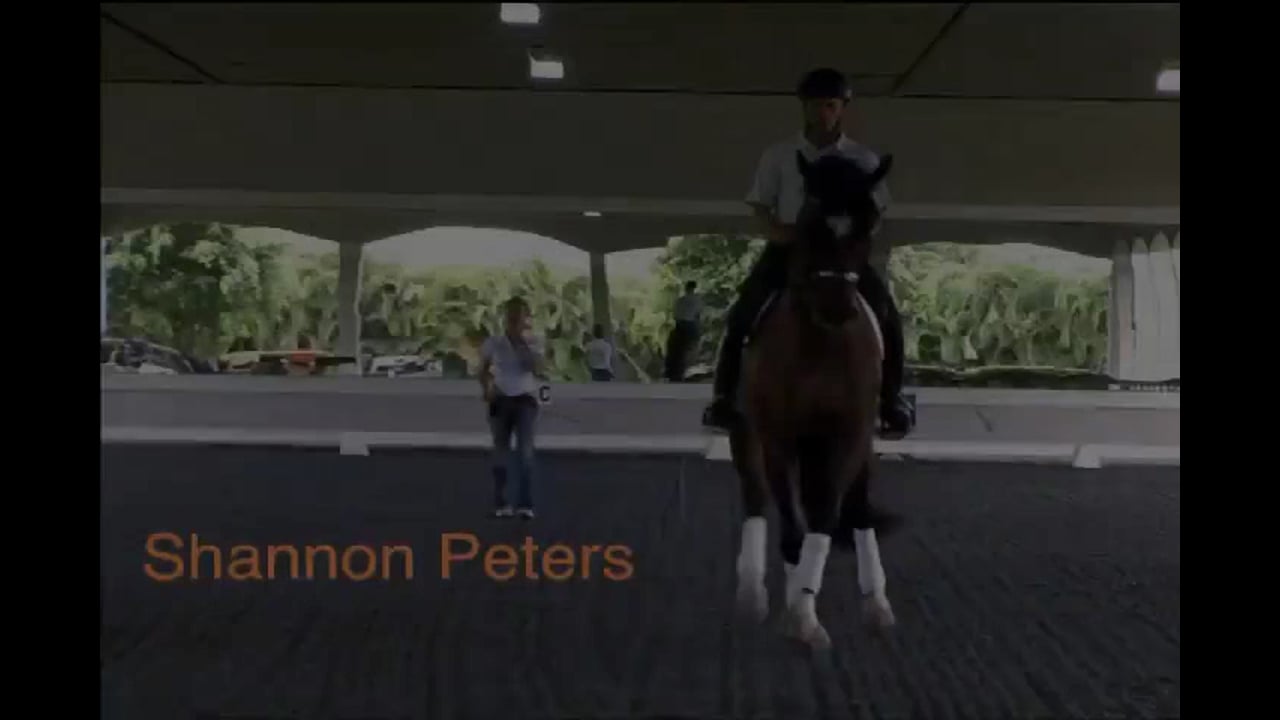 Responsiveness | Shannon Peters | PART 04