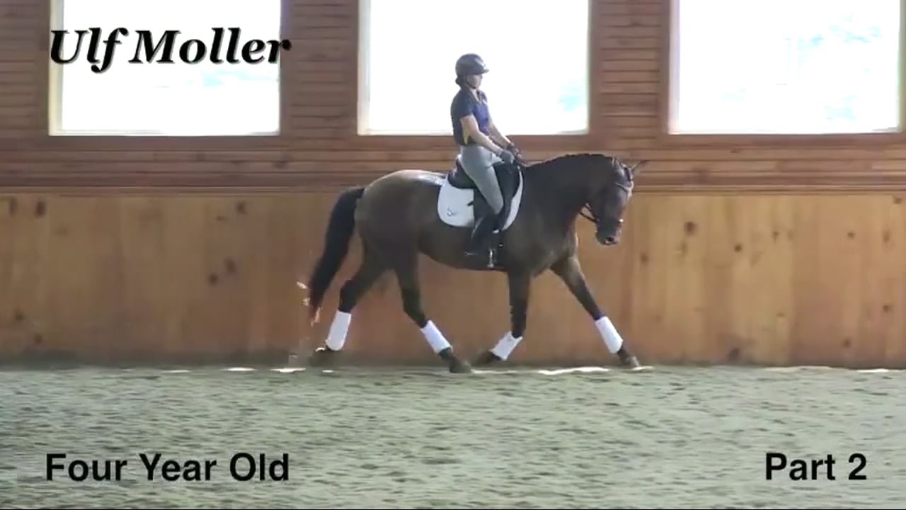 Resistance & Rider Effectiveness | Dr. Ulf Moller | PART 02