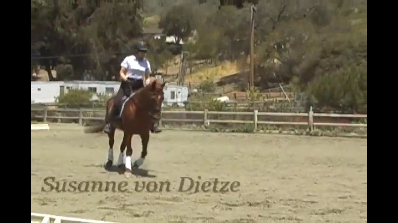 Rider Position - Balance | Susanne von Dietze | PART 05