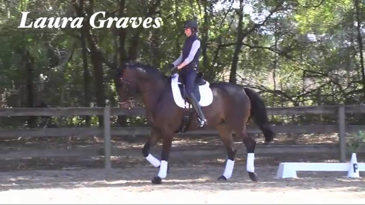 Reschooling the Upper Level Horse | Laura Graves | PART 01