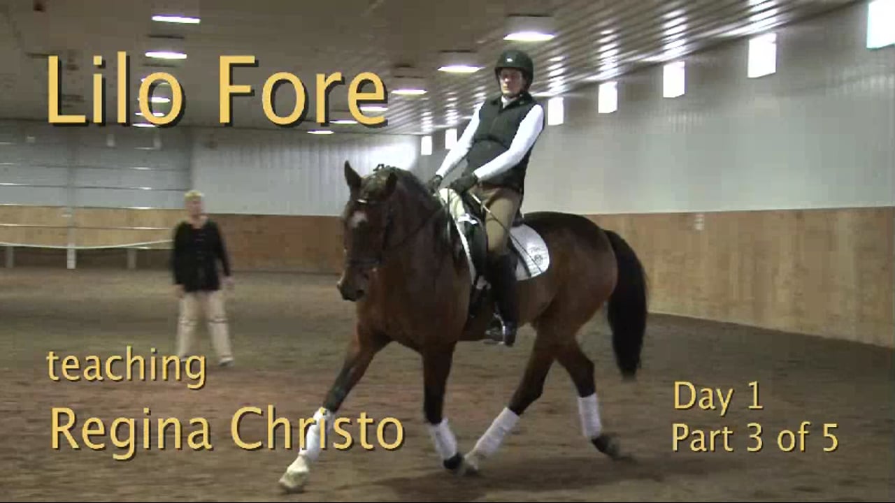 Responsiveness to the leg - 1/2012, FarmVet/USDF Adult Clinic, Second Level