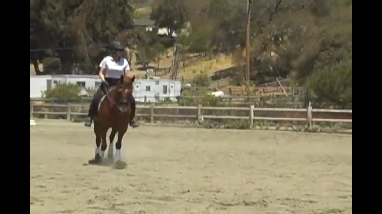 Rider Position - Balance | Susanne von Dietze | PART 02