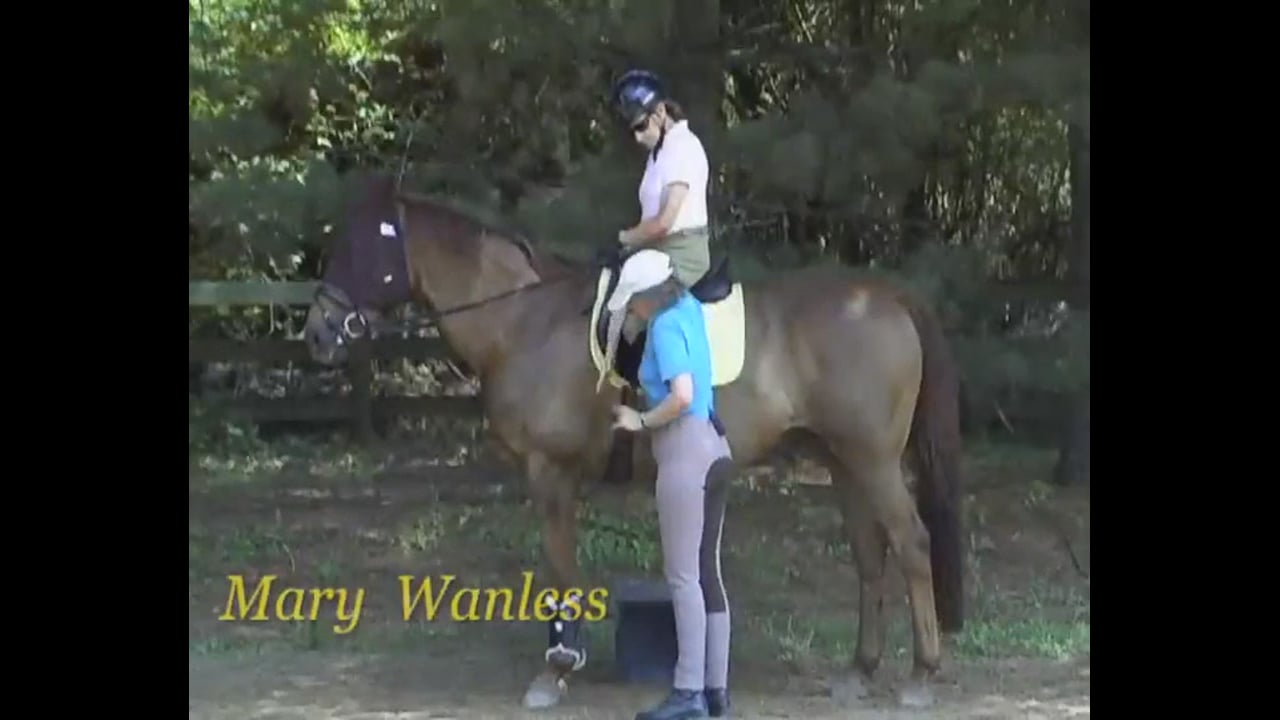 Rider Position, Boingy Balls vs Bean Bags | Mary Wanless | PART 06