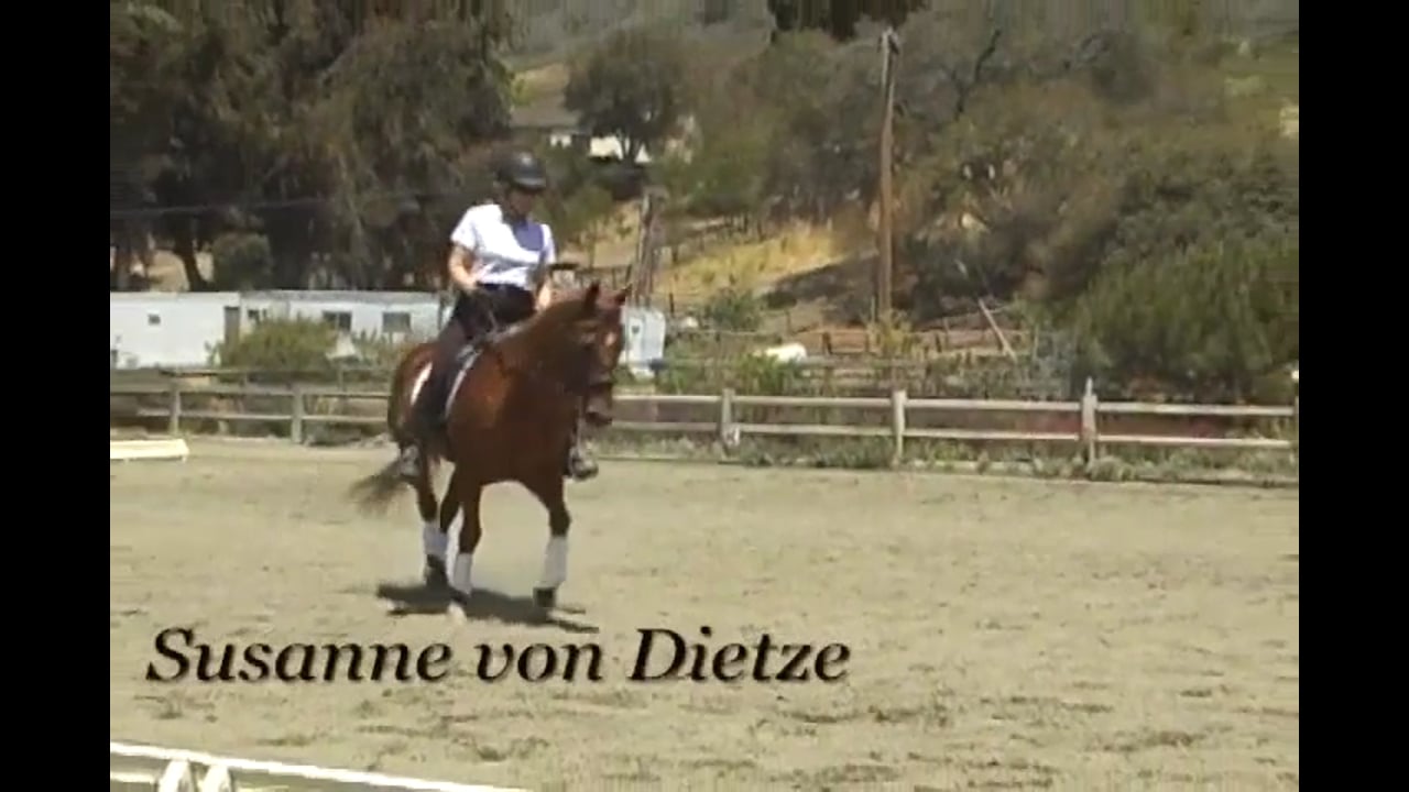 Rider Position - Balance | Susanne von Dietze | PART 04
