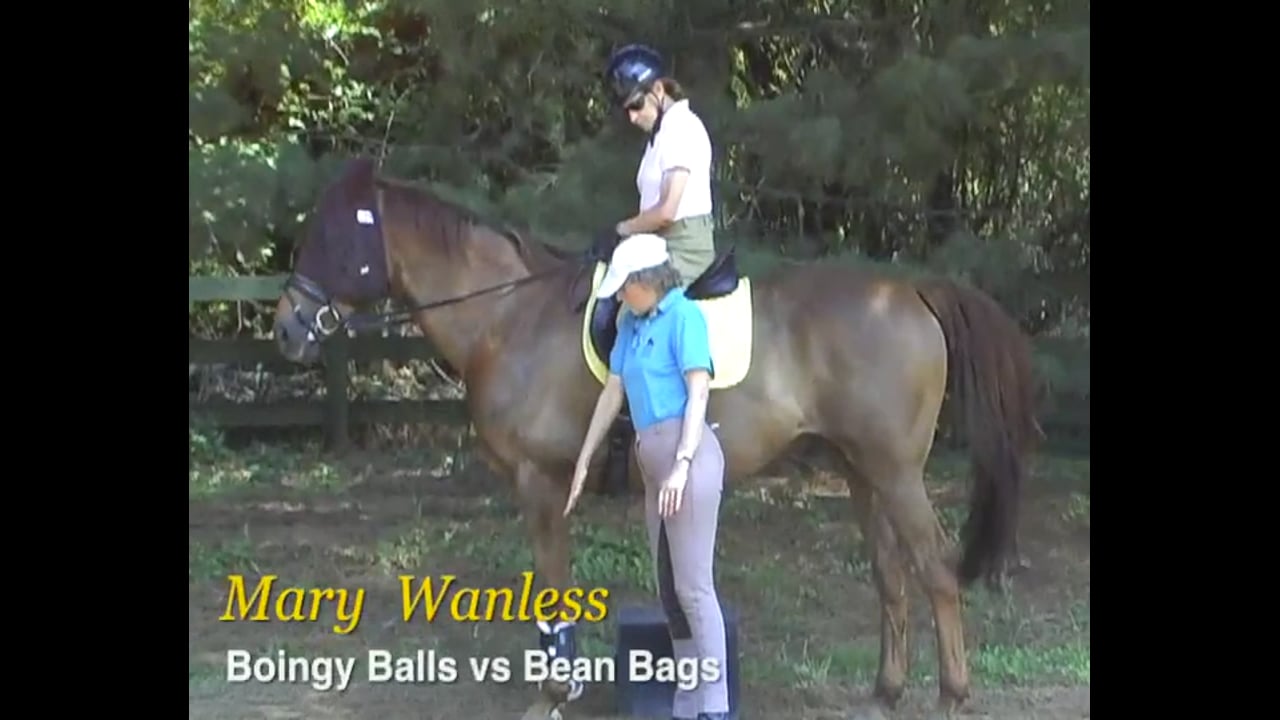 Rider Position, Boingy Balls vs Bean Bags | Mary Wanless | PART 07