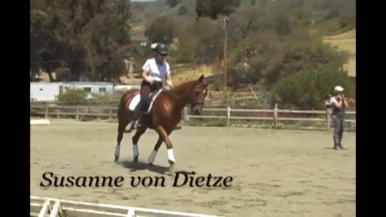 Rider Position - Balance | Susanne von Dietze | PART 03