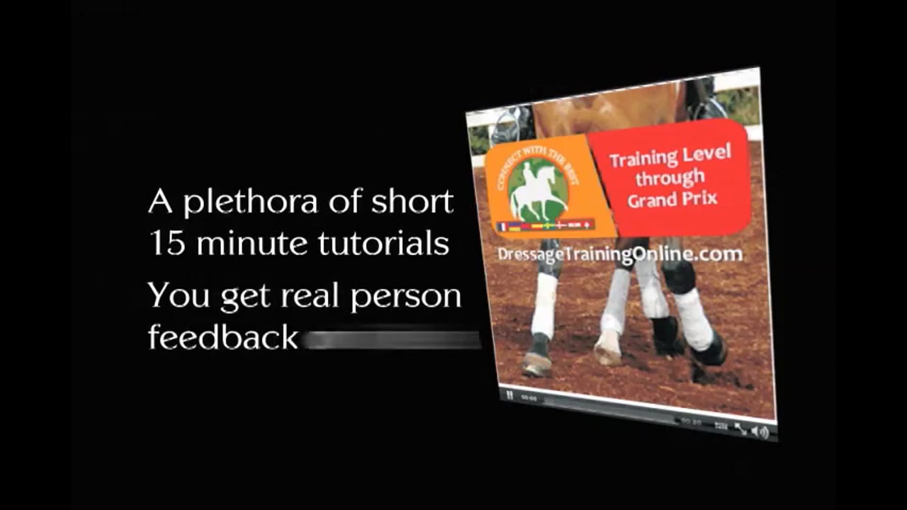 Rider Position, Half Steps, Counter Canter | Shannon Peters | PART 01