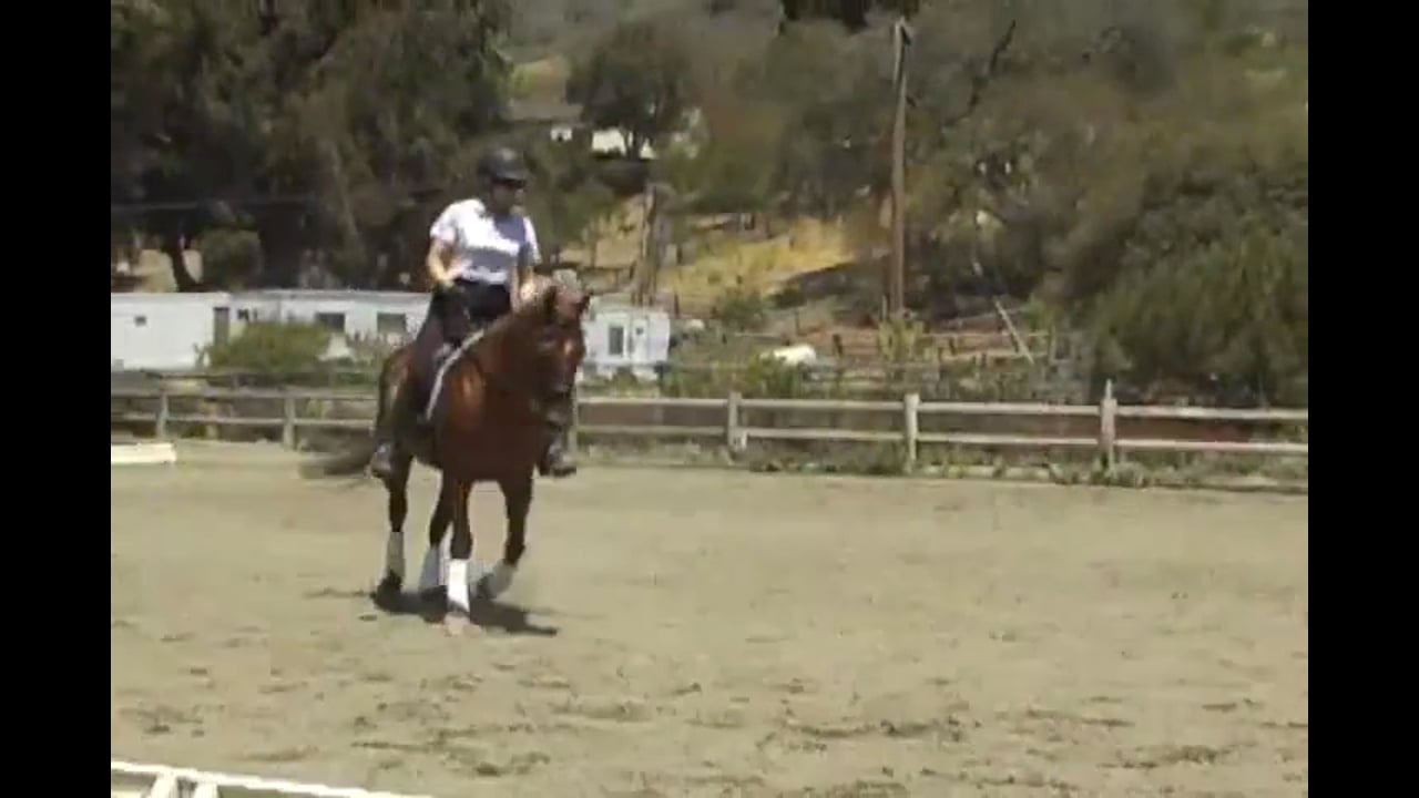 Rider Position - Balance | Susanne von Dietze | PART 06