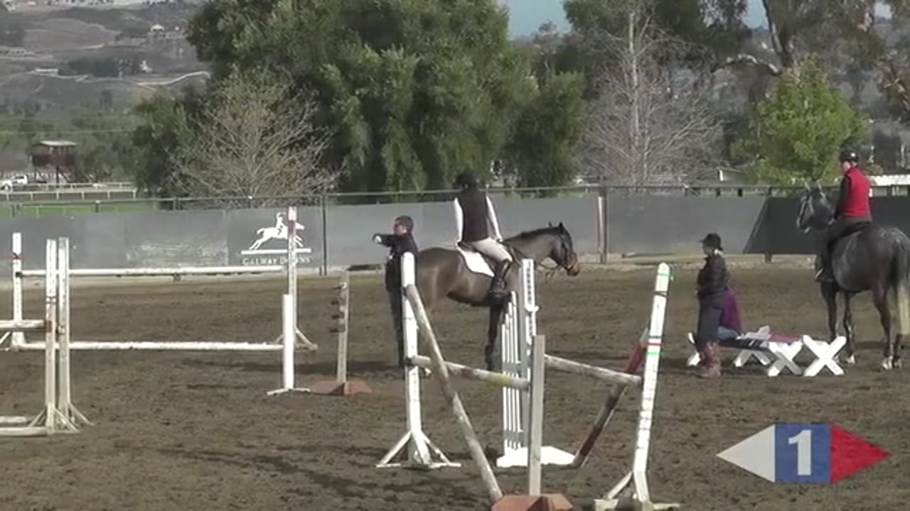 Rideability Exercises Over Fences | Boyd Martin | PART 03