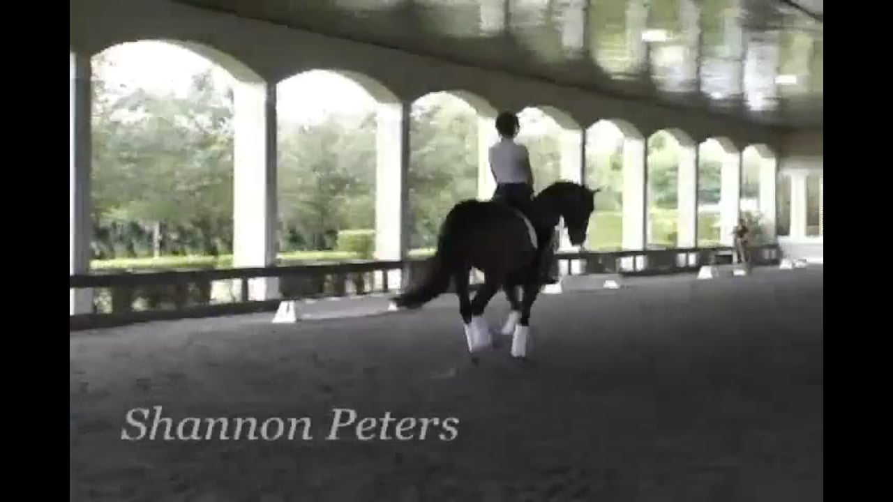 Rider Position, Half Steps, Counter Canter | Shannon Peters | PART 05