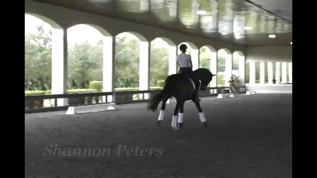 Rider Position, Half Steps, Counter Canter | Shannon Peters | PART 03