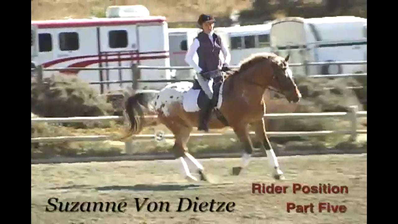 Rider Position | Susanne von Dietze | PART 05