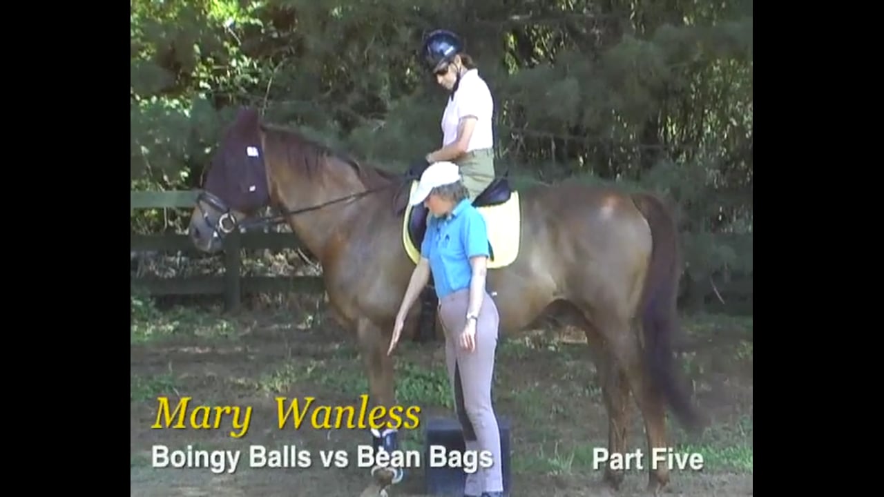 Rider Position, Boingy Balls vs Bean Bags | Mary Wanless | PART 05