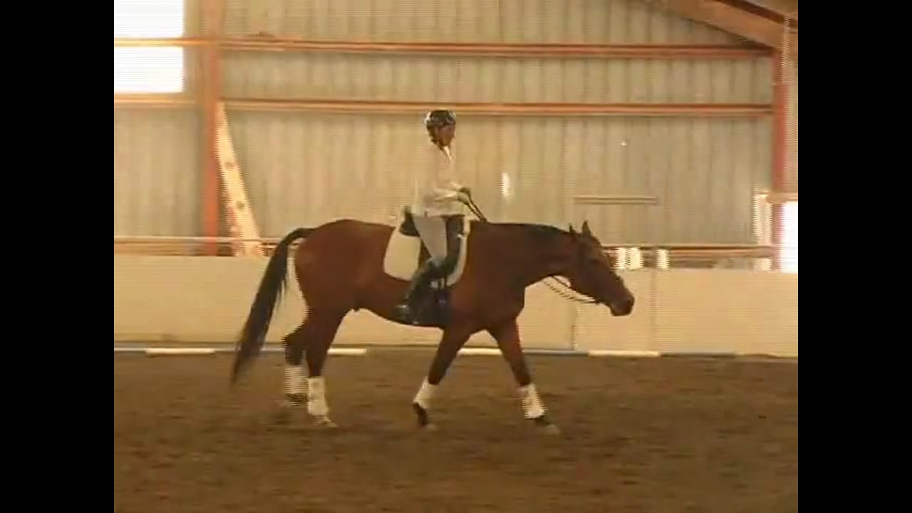 Rider Position: Caveletti Work for Back Mobility | Arthur Kottas-Heldenberg