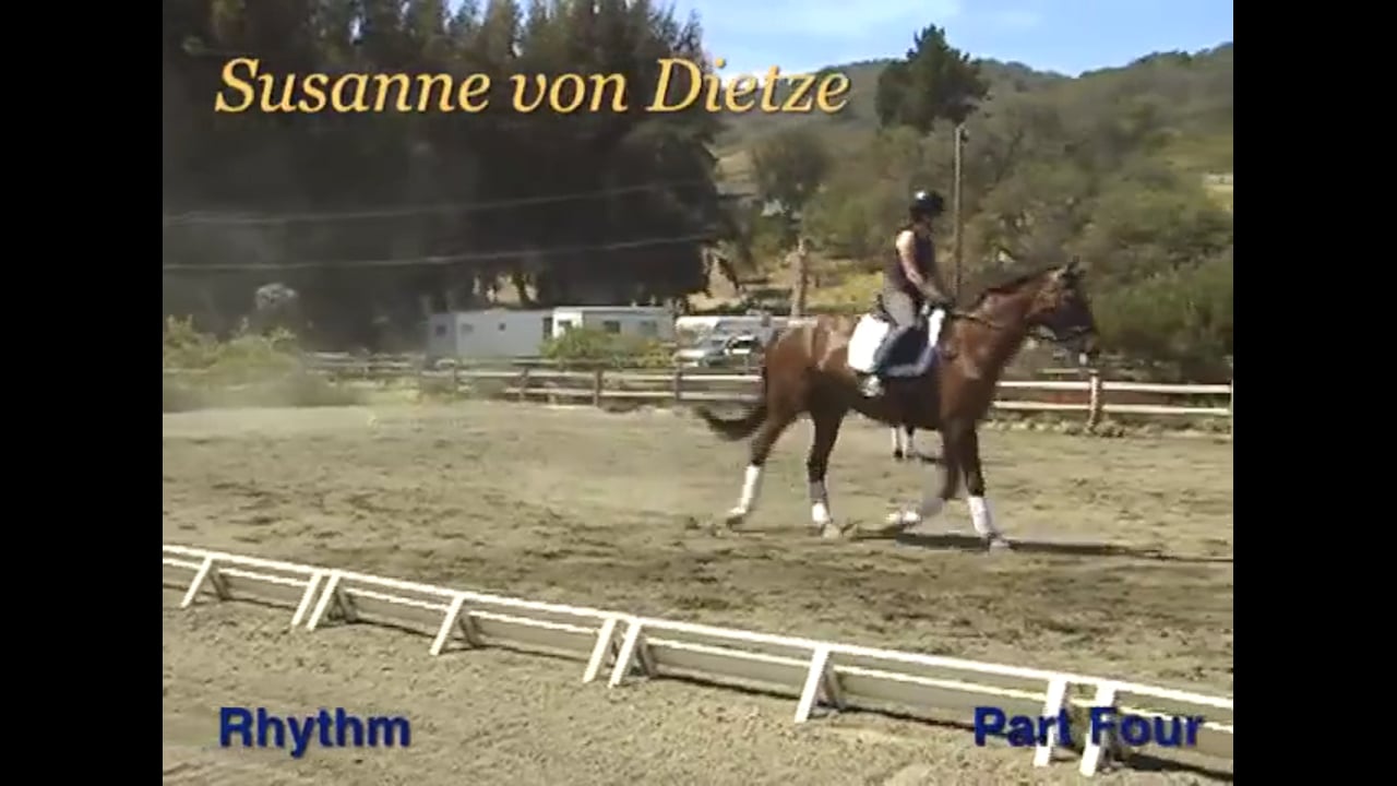 Rider Position, Rhythm | Susanne von Dietze | PART 04