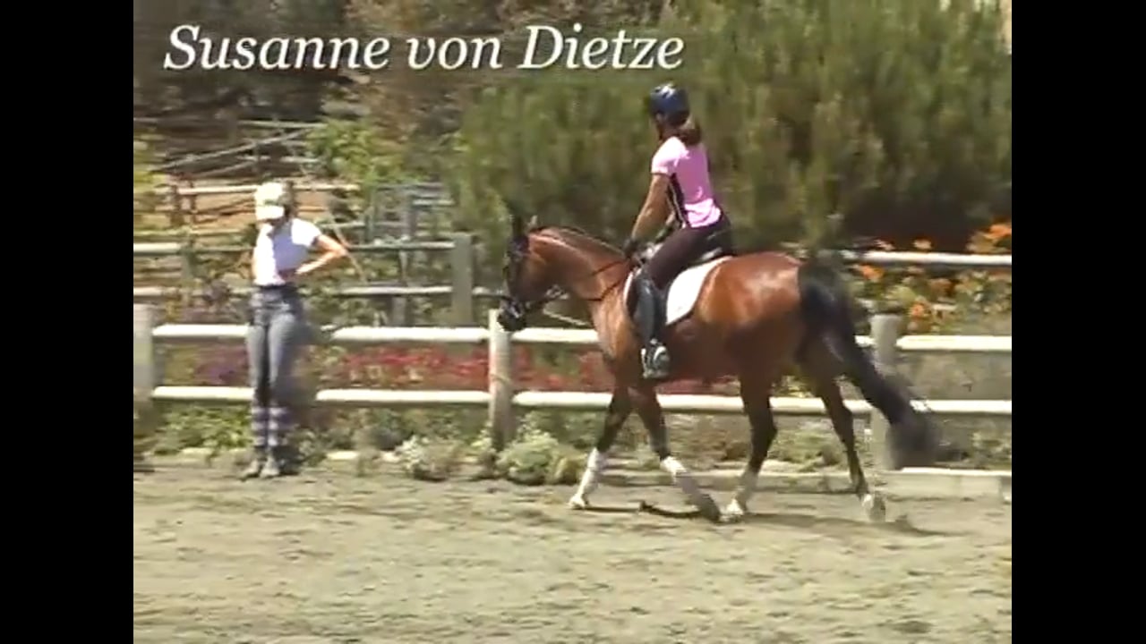Rider Position, Influence of the Pelvis | Susanne von Dietze | PART 05
