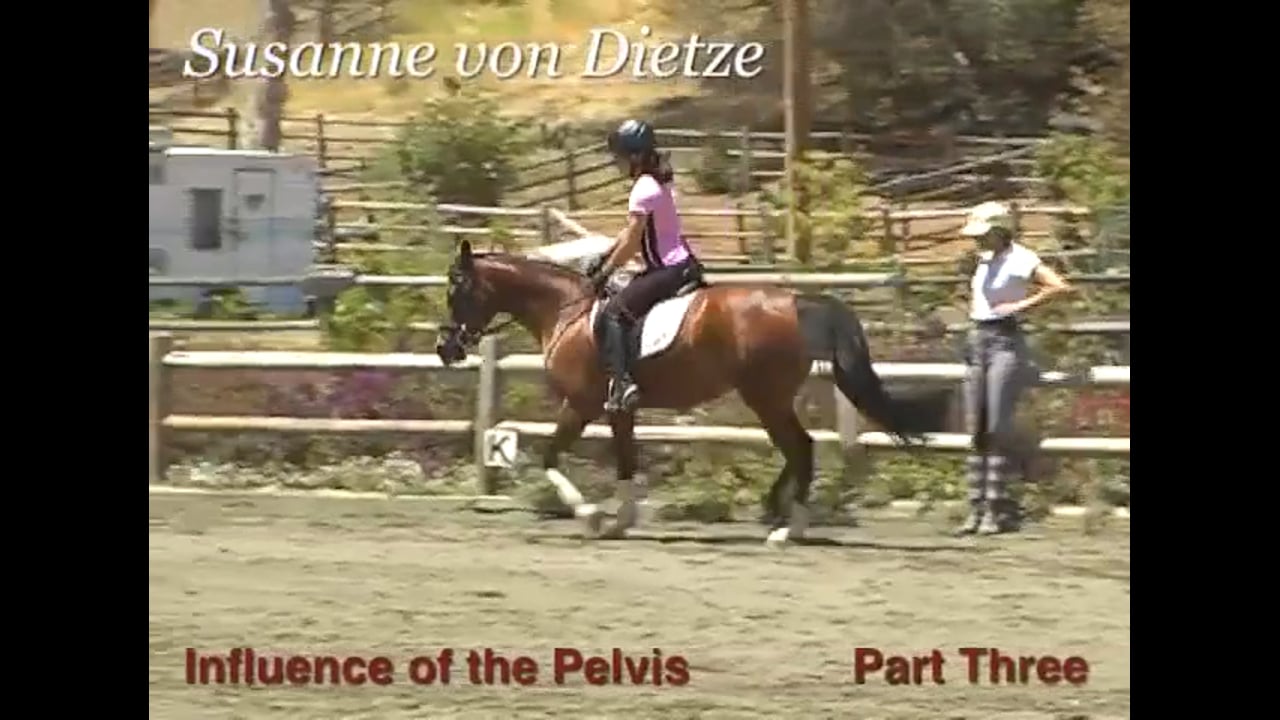 Rider Position, Influence of the Pelvis | Susanne von Dietze | PART 03
