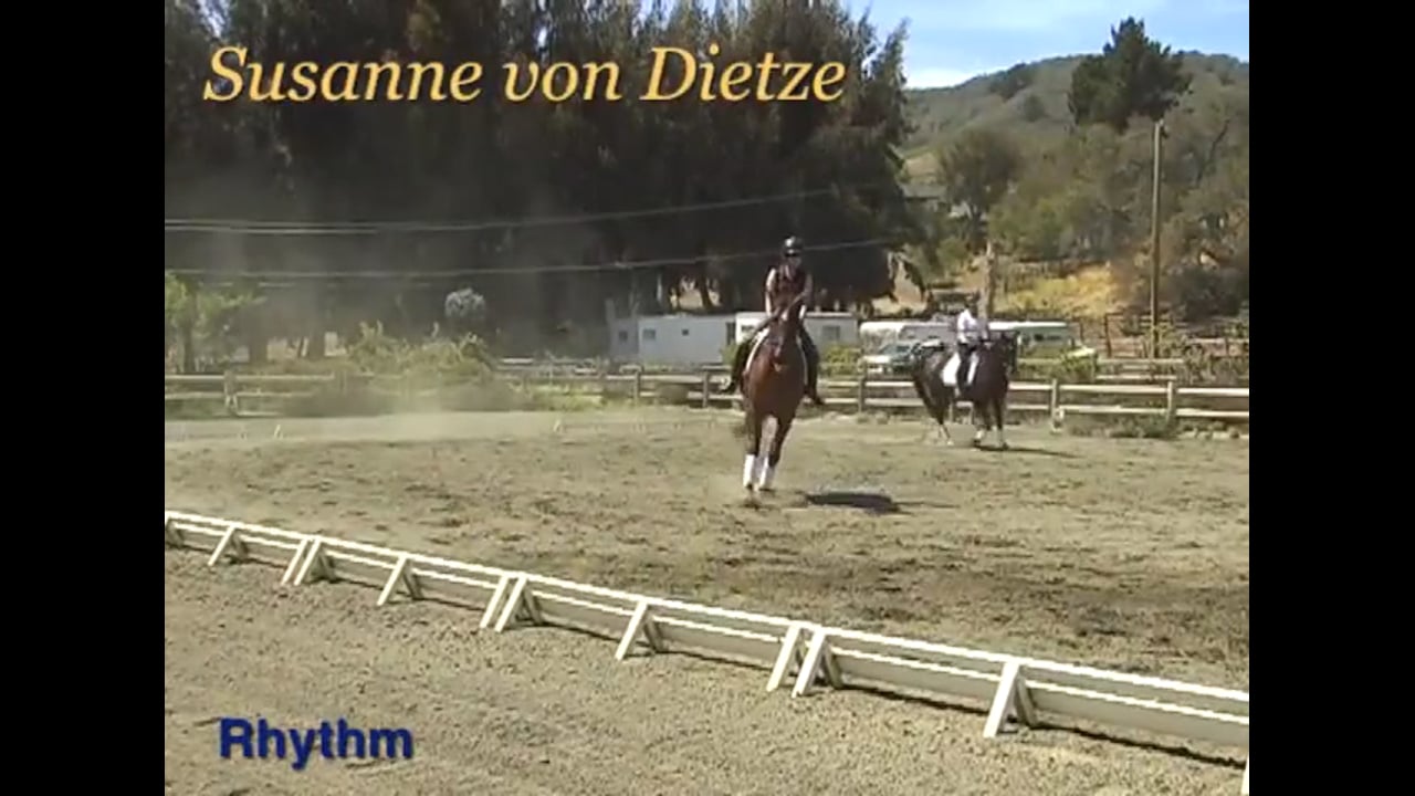 Rider Position, Rhythm | Susanne von Dietze | PART 02