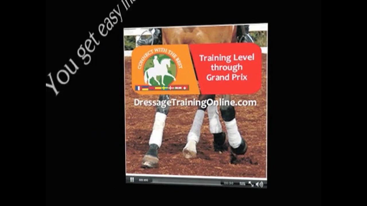 Rides at Young Horse Competition in Verdan Germany | Steffen Frahm