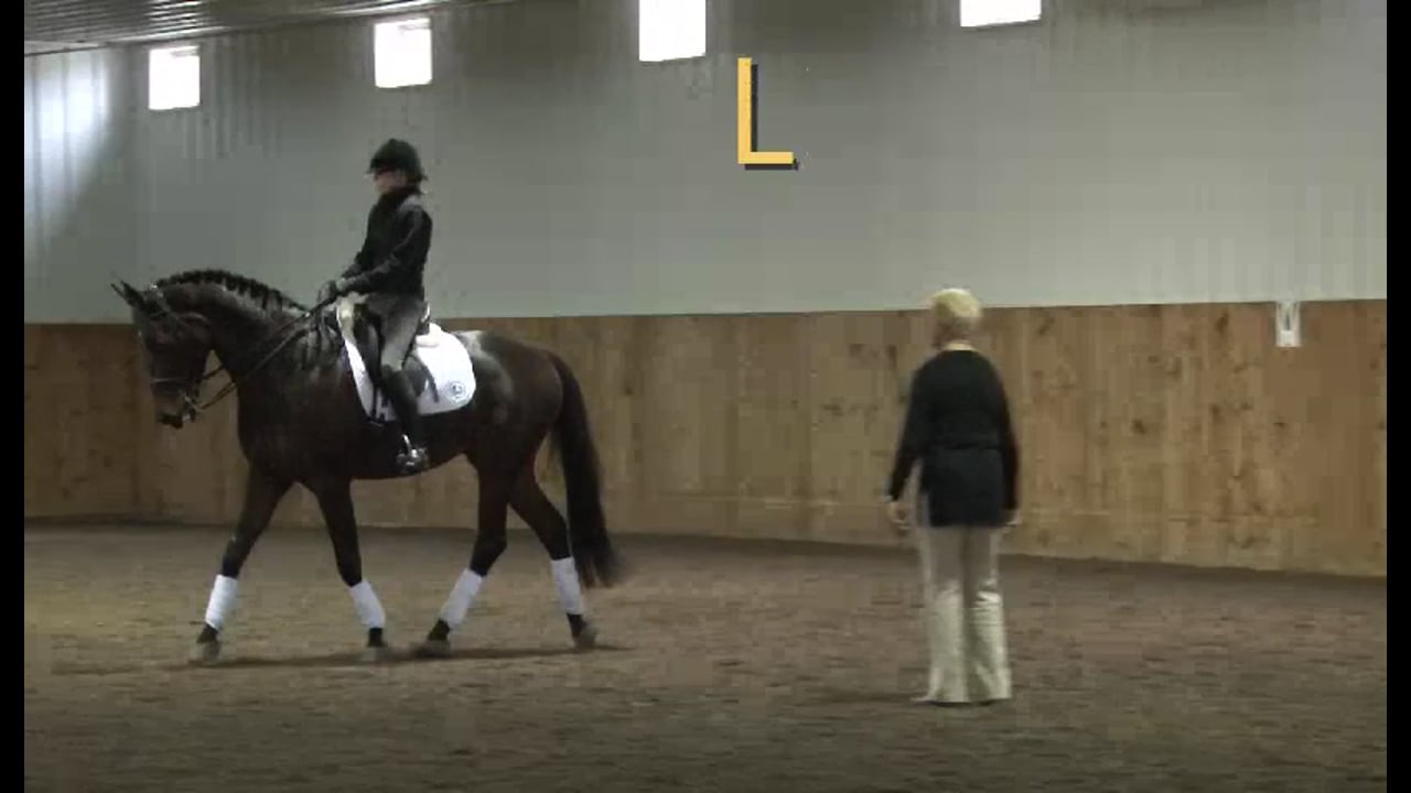 Riding the experienced horse - 2/2012, FarmVet/USDF Adult Clinic, Training throu