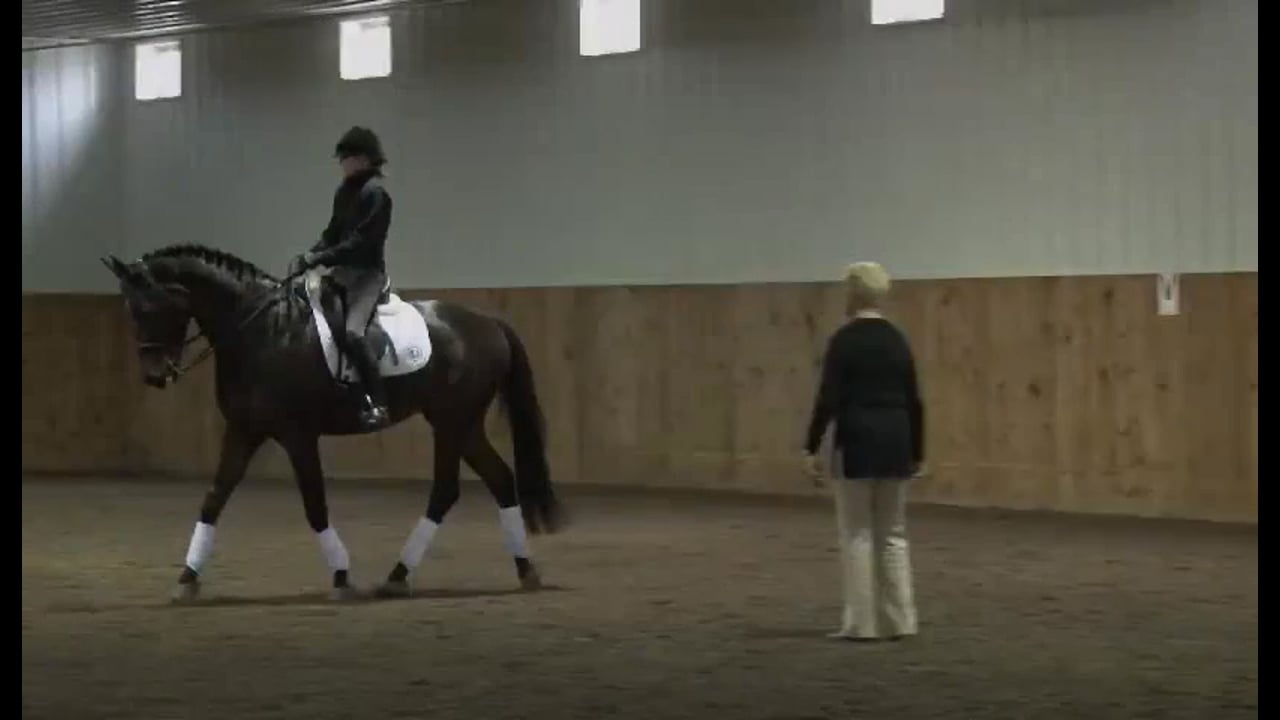 Riding the experienced horse - 2/2012, FarmVet/USDF Adult Clinic, Training throu