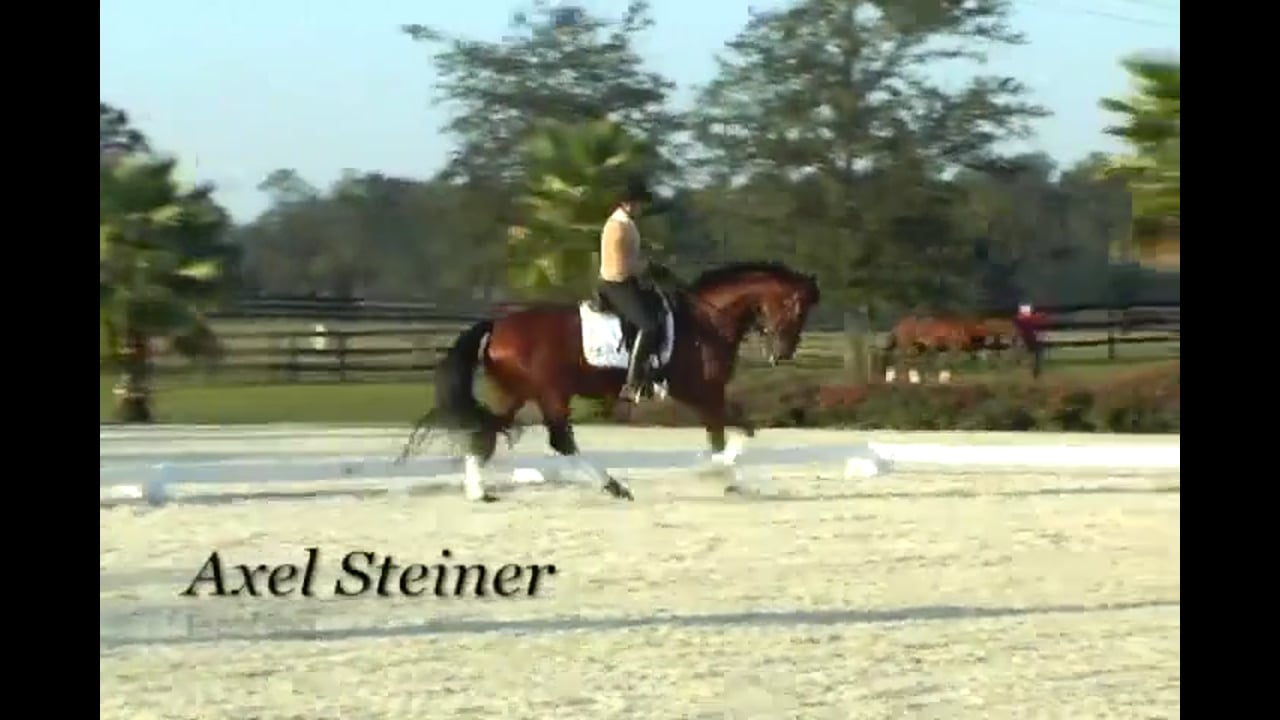 Schooling 3rd Level, Half Pass, Changes, Counter Canter | Axel Steiner | PART 04