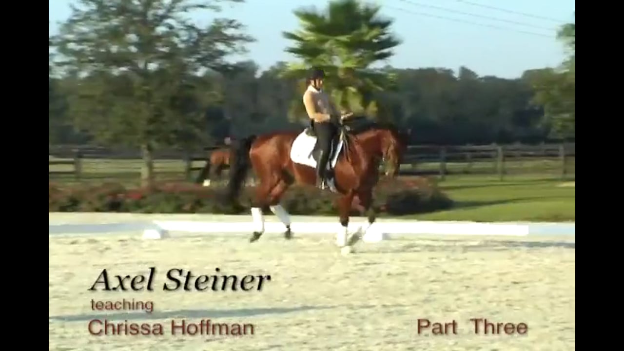 Schooling 3rd Level, Half Pass, Changes, Counter Canter | Axel Steiner | PART 03