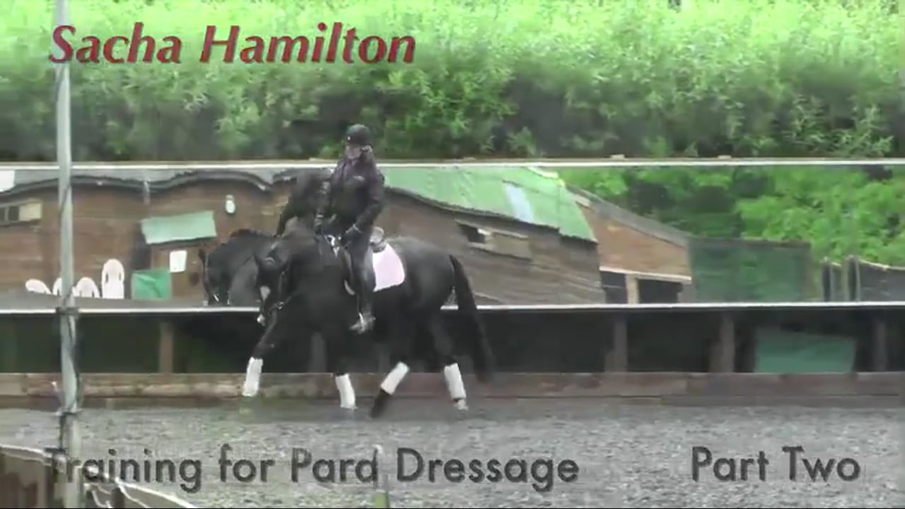 Training for Para Dressage Rider, Getting the Horse Responsive | Sacha Hamilton