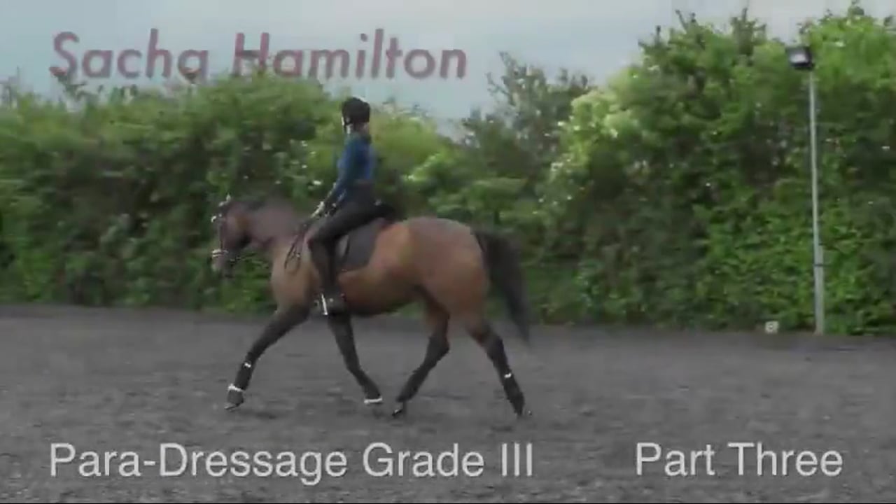 Para-Dressage Grade III | Sacha Hamilton | PART 03