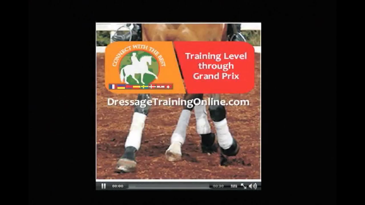 Schooling 3rd Level, Half Pass, Changes, Counter Canter | Axel Steiner | PART 01