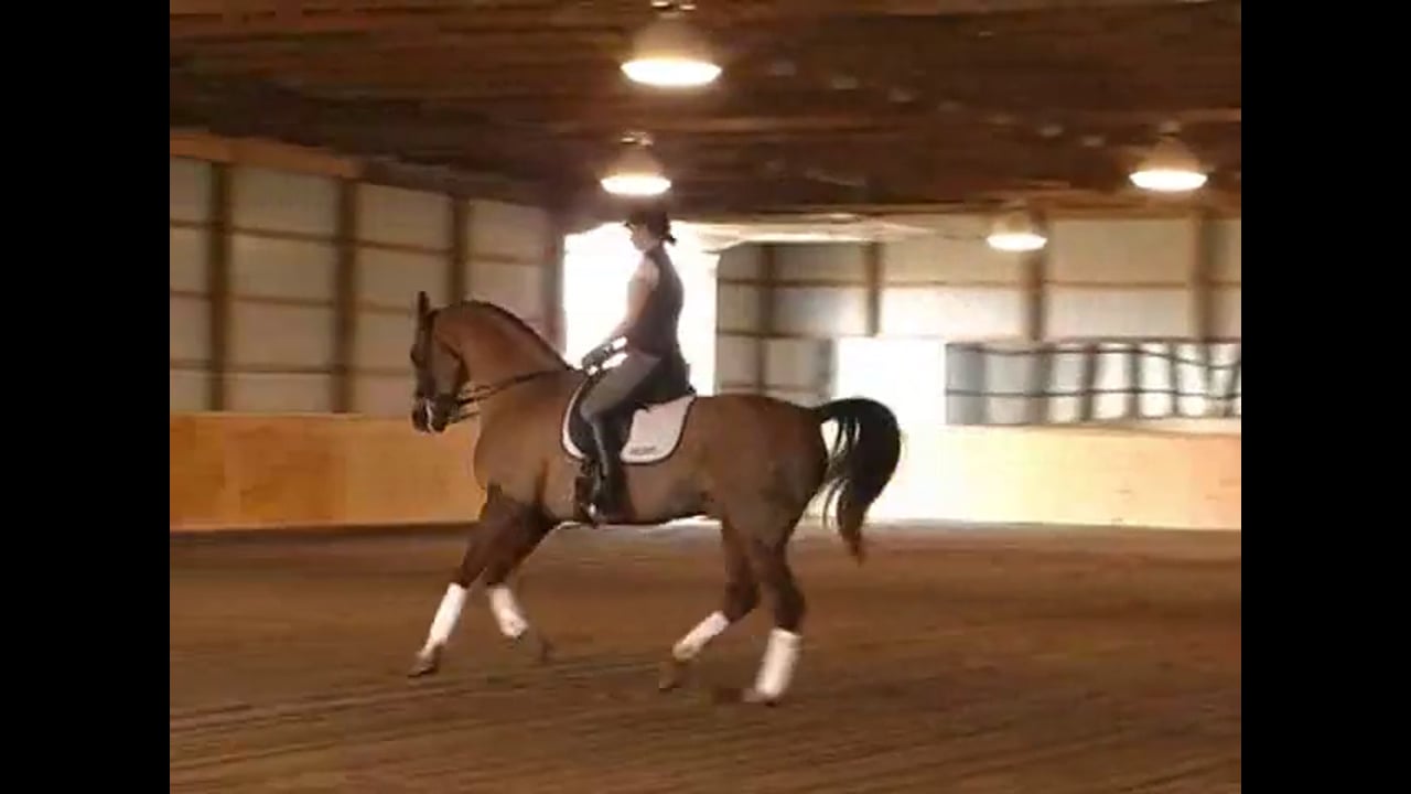 Schooling the Piaffe, Passage, and the Changes | Chrissa Hoffman | PART 02