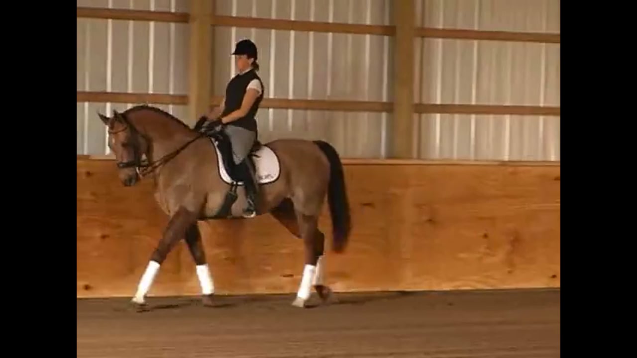 Schooling the Piaffe, Passage, and the Changes | Chrissa Hoffman | PART 01