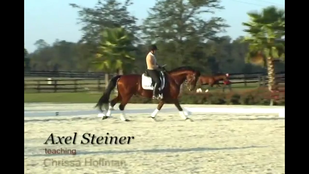 Schooling 3rd Level, Half Pass, Changes, Counter Canter | Axel Steiner | PART 02