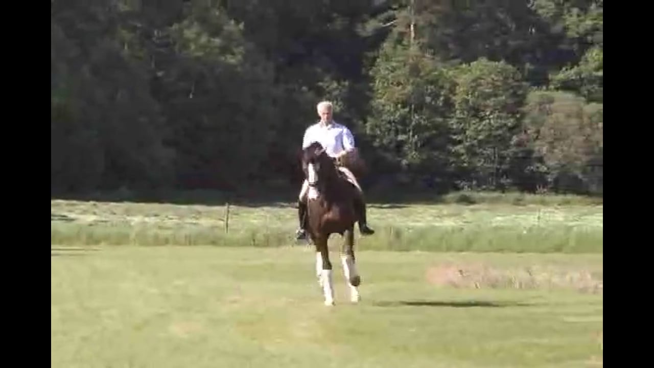 Schooling in Nature, Work on All the GP Movements | Jan Brink