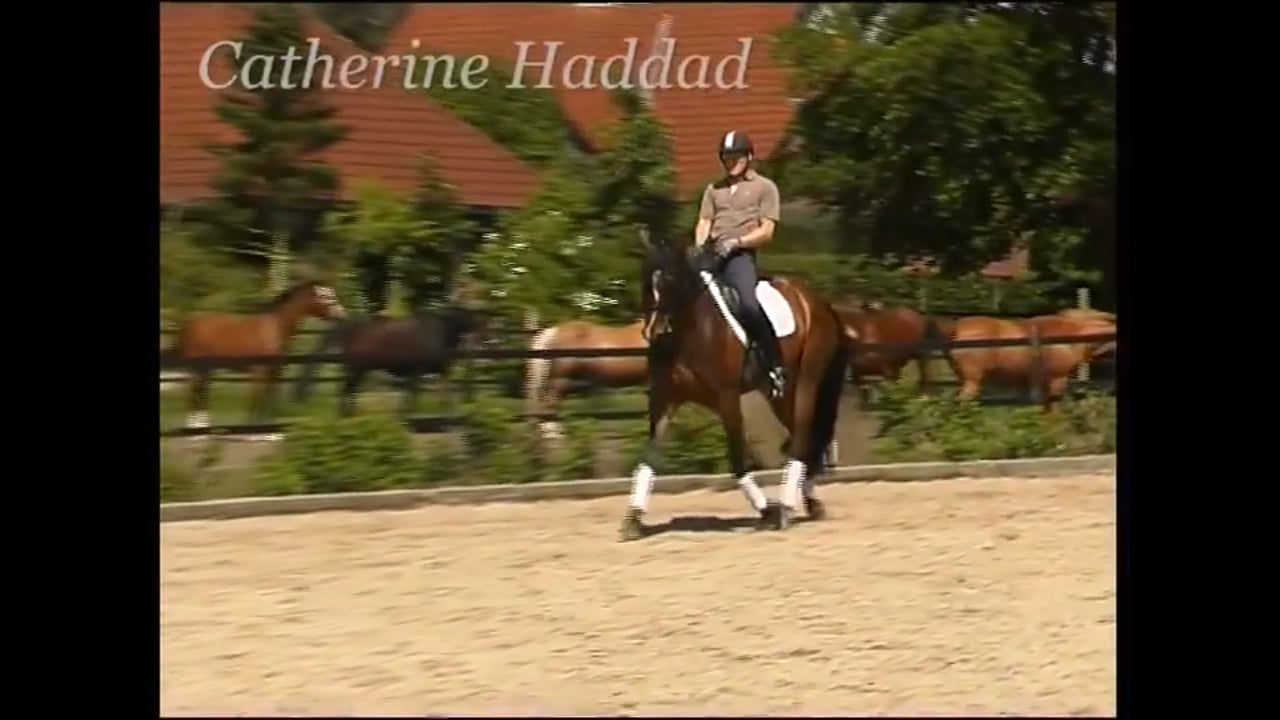 Six Year Old Mare | Catherine Haddad | PART 04